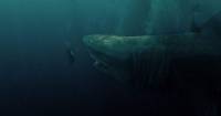 [REVIEW] Cá Mập Siêu Bạo Chúa - Nỗi thất vọng mang tên Megalodon