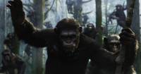 Dawn of the Planet of the Apes - Phim bom tấn số 1 mùa hè